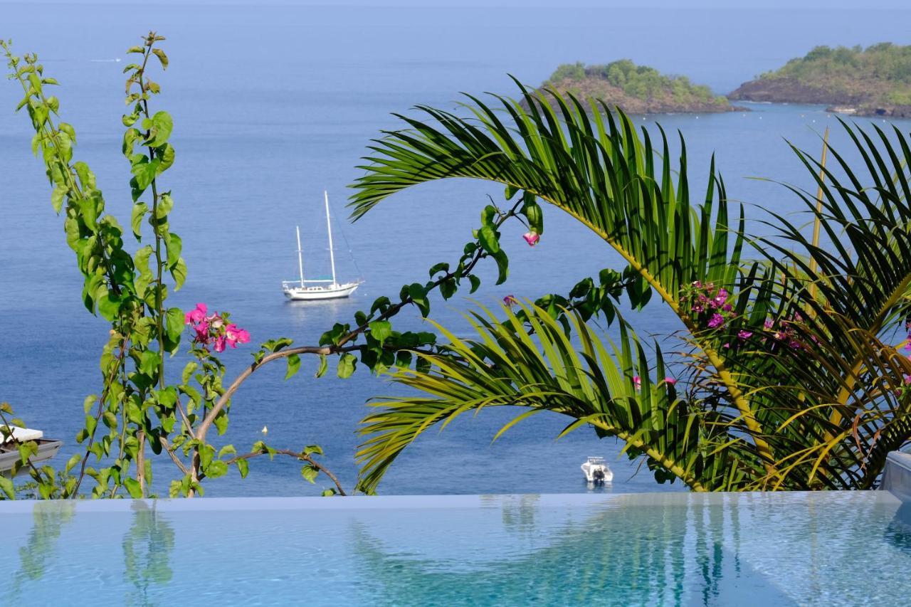 Sunset Palm - Villa Creole Avec Piscine Face Au Coucher De Soleil Et A La Reserve Cousteau Буйант Экстерьер фото